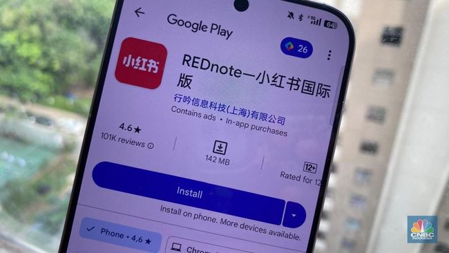 Rednote, Alternatif TikTok di AS: Tantangan Privasi dan Keamanan